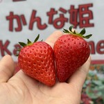 姫路ハートフル観光農園 - 