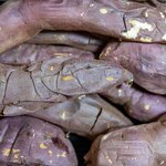 蔵出・焼き芋 かいつか - 2024.3 紅小芋 1.2kg箱（1,450円）