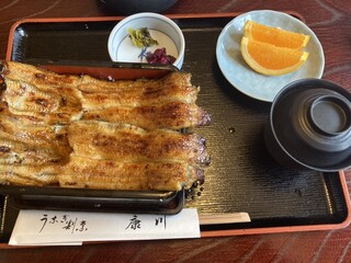 うなぎ割烹 康川 - 