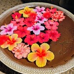 舟蔵の里 - エントランスのお花の飾り