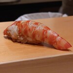 鮨 はしもと - 車海老