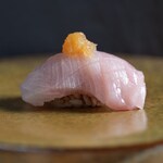 Yellowtail