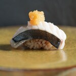 Sushi Amato - 