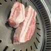 熟成肉専門店 ヨプの王豚塩焼 GEMS新橋店