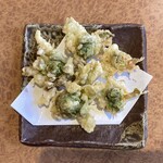 薫屋 - ・蕗のとう