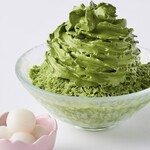 Maccha Kafe Ujikyuu Bee - 抹茶雪氷Foamed Matcha on Fluffy Shaved ice