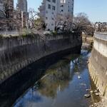 蕎麦 高しま - 目の前を流れる神田川