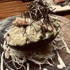 ごち2 - 