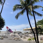 The Local @ HNL - 