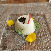 BISTRO FAVORI 代官山 - 