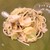 トラットリア フラテッリ ガッルーラ - 料理写真:アワビと春キャベツ、アンチョビのアーリオオーリオ