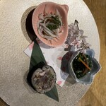 SHANI MUNI - お通し　青菜の浸し、鰹の巻き寿司、シラスポン酢