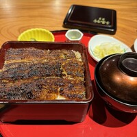 炭焼うな富士 名駅店 - 上うな重