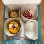 TOKYO TULIP ROSE - 