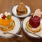 TOKYOチューリップローズ - 