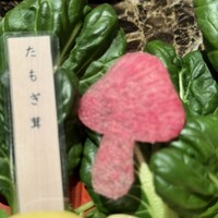 Shangri-La's secret ROPPONGI - 