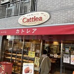 カトレア - 