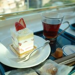 観光特急 しまかぜ - 