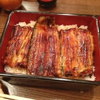 新宿 うなぎ菊川 - うな重
                
                ふっくらしてタレも甘すぎずでした(^^)