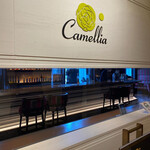 Camellia - 