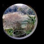 鬼怒川 竹やぶ - 