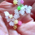 新松月 - 小さくて可愛い！(2014,01/26)