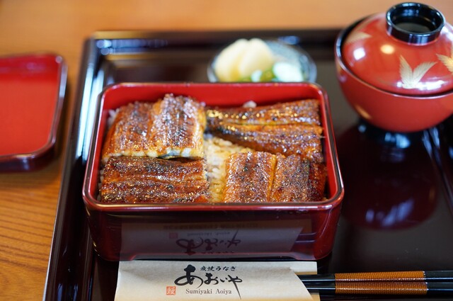 Sumiyaki Unagi Aoiya, Hamamatsu, Japan