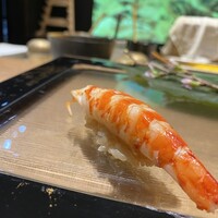 渋谷 鮨 スブリム TOKYO - 車海老