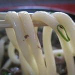 きらく - うどんはさっとお湯を通せばできる麺