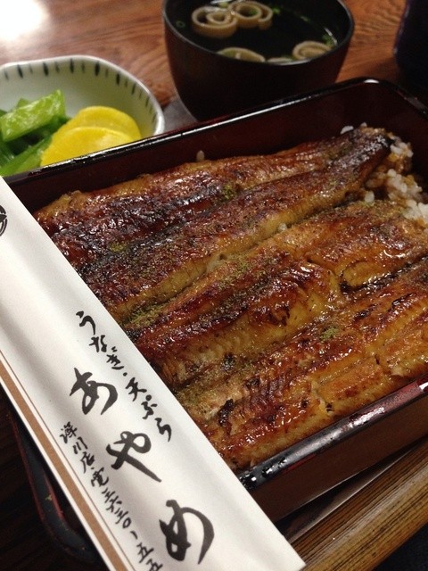 あやめ 清澄白河 うなぎ 食べログ あやめ 清澄白河 うなぎ 食べログ