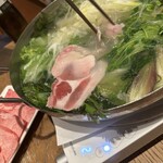 Hakata Tsuyushabu Teppan Oshioi - 