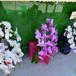 あさひ本店 江の島丸焼きたこせんべい - 