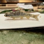 Tempura Urakami - 