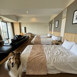 ホテル ビワ ドッグ - お部屋