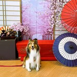 ホテル ビワ ドッグ - ロビー前