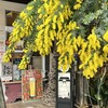 月Cafe - 看板に描かれてるのは店主のおじさま