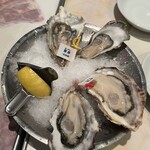 Oyster Bar ジャックポット - 