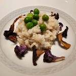 フォリオリーナ・デッラ・ポルタ・フォルトゥーナ - 