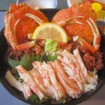 海土里 - せいこ丼御膳