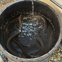 一味亭 - 