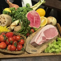 オッジ ダルマット 西麻布店 - 