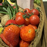 オッジ ダルマット 西麻布店 - 