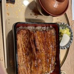 Unagi Mejiro Zorome - 