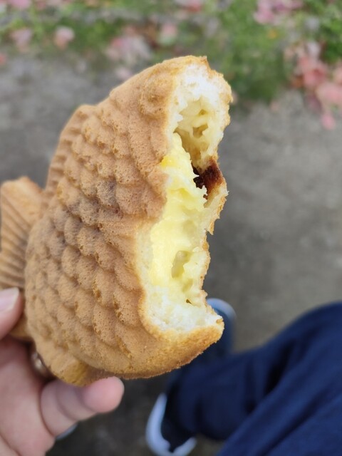 たい焼き 鯛吉 熊本上通りFS店 - 通町筋/たい焼き・大判焼き | 食べログ