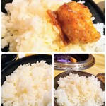 焼肉　殿 - ホルモンオンザライス　一の膳　二の膳