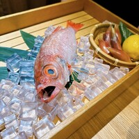のどぐろ専門 銀座 中俣 - 
