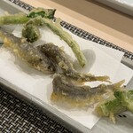 すし処 魚正 - 