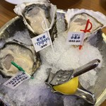 Oyster Bar ジャックポット - 