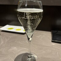 オッジ ダルマット 西麻布店 - 