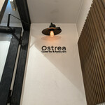 Ostrea - 